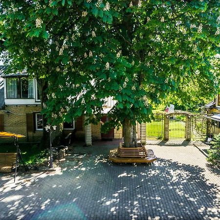 Pamario Krasto Sodyba Grumbliai Dış mekan fotoğraf